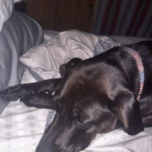 Meet your Posher, Tim - Picture 1 of 1